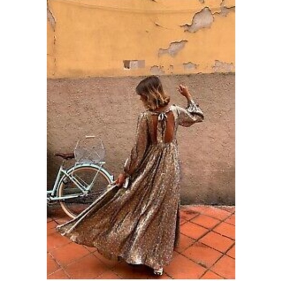chinese dress ladies Madeline Button Front Floral Maxi Dress In Vintage Brown main image 1